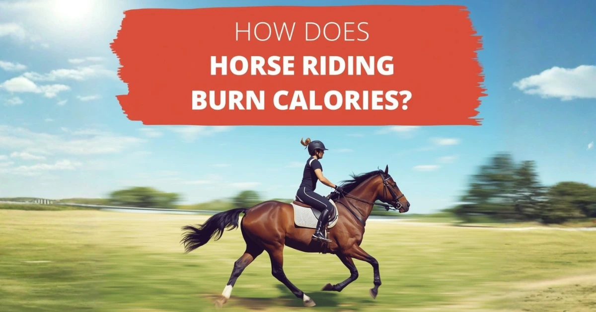 How Does Horse Riding Burn Calories?
