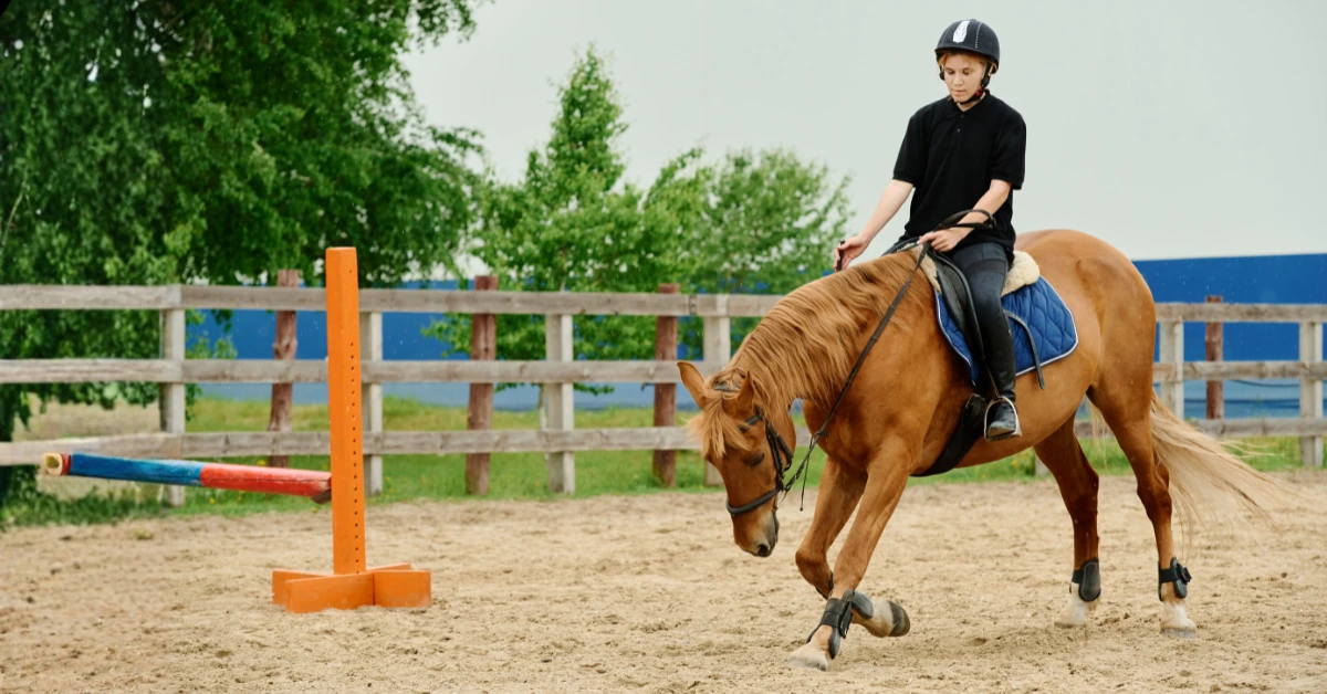 Where Can I Ride Horses in Dubai Cheap?