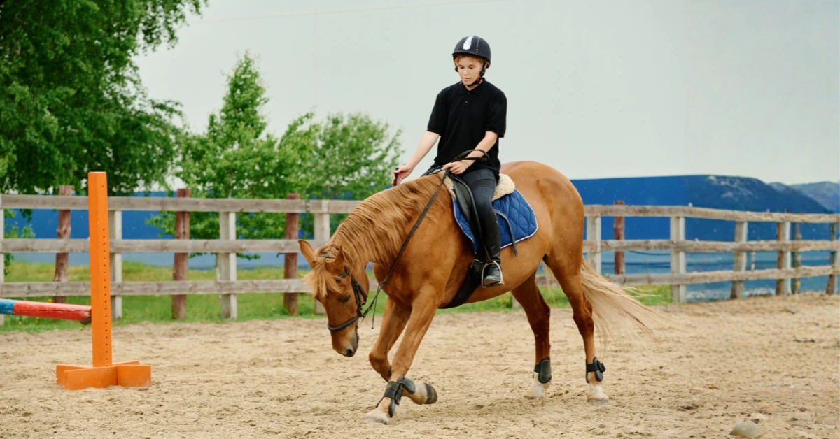 How Much Does Horse Riding Cost in Dubai