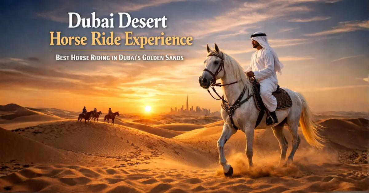 Dubai Desert Horse Ride Experience: Best Horse Riding in Dubai’s Golden Sands