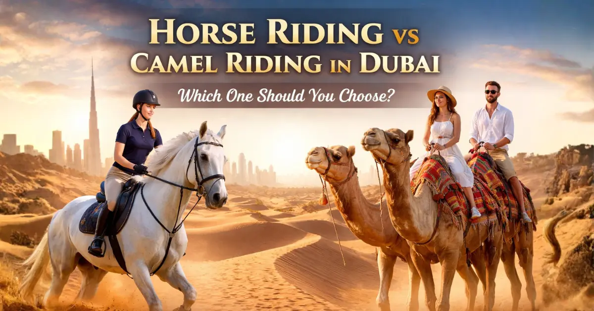 Horse Riding vs Camel Riding in Dubai – Which One Should You Choose?